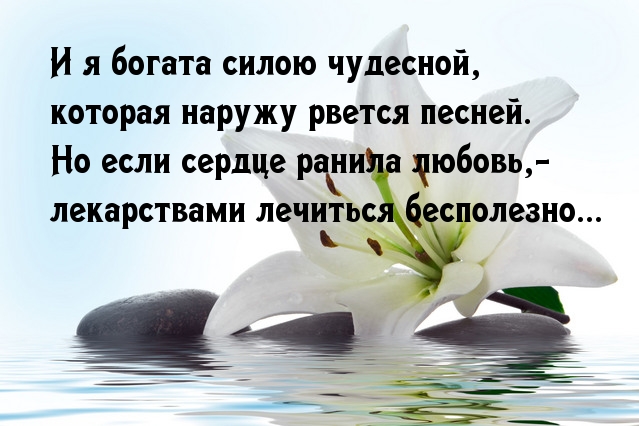 Картинки с надписями. Рану от любви не излечишь.