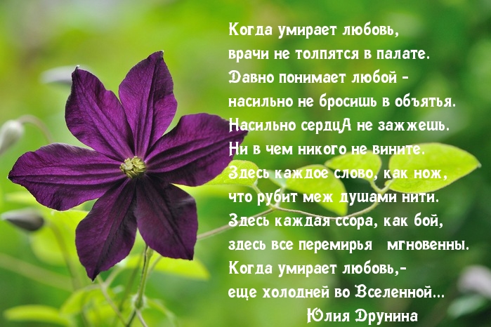 Когда умирает любовь…