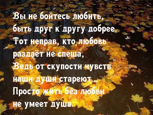 Вы не бойтесь любить