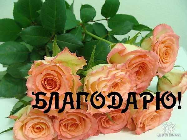 БЛАГОДАРЮ!