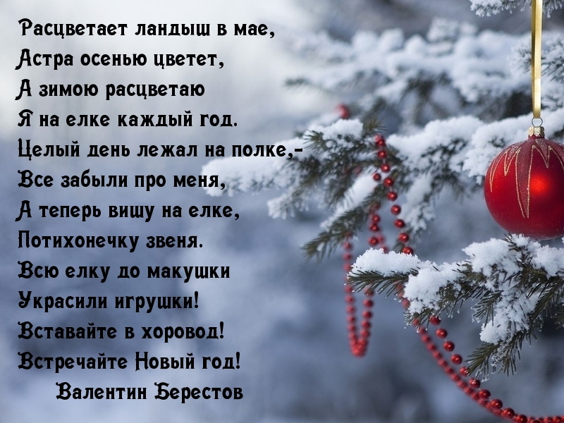 Зимою расцветаю я