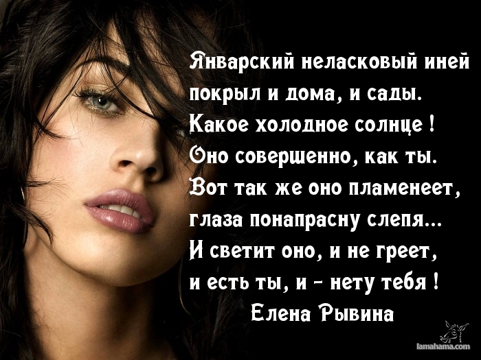 Январский неласковый иней