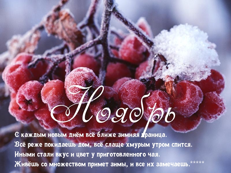 Ноябрь