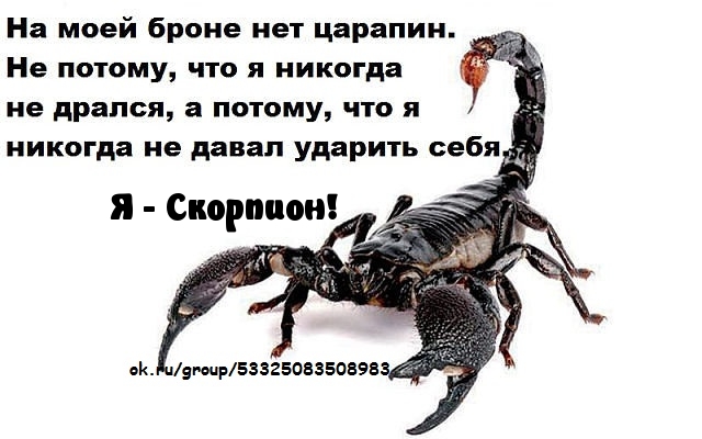 Я — скорпион
