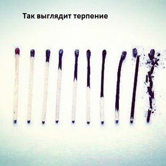 Так выглядит терпение