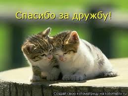спасибо за дружбу