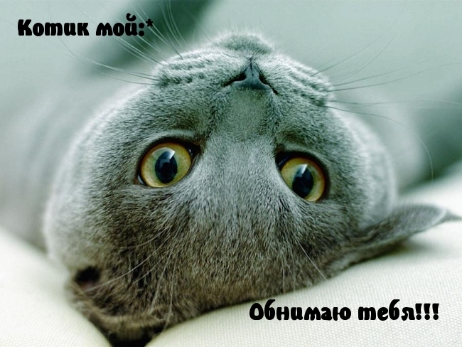 Обнимаю тебя!!!
