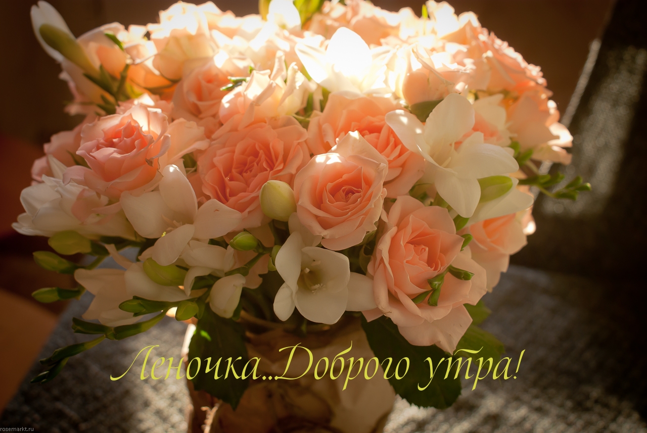 Леночка…Доброго утра!