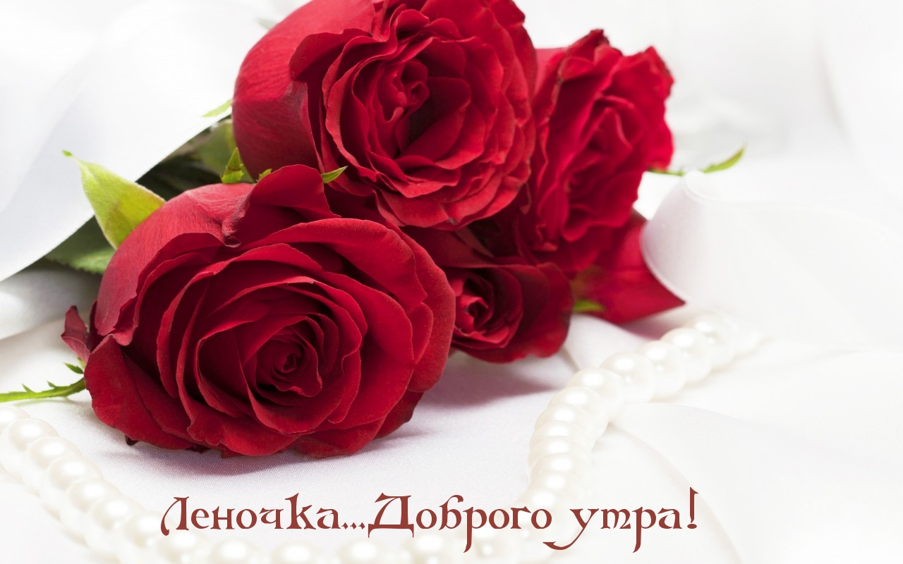 Доброе утро, Лена