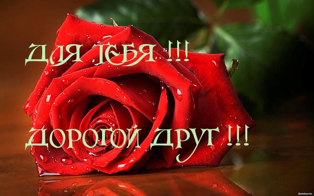 Дорогому другу!