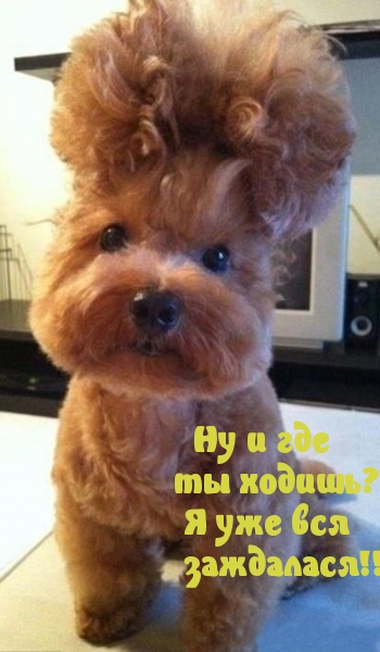 Я уже вся заждалася!