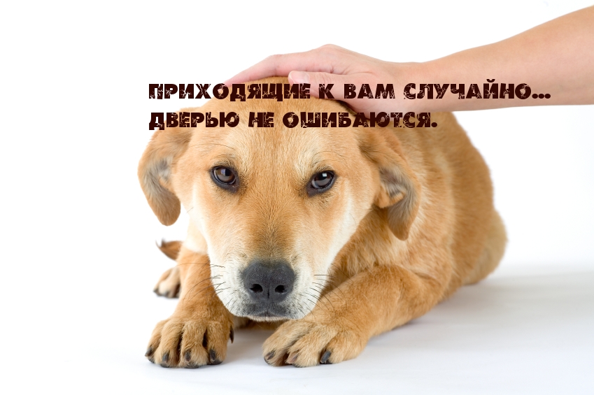 Приходящие в жизнь — не случайность