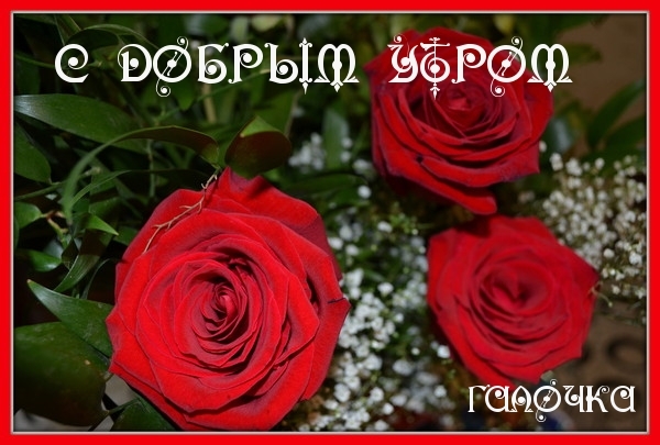 Доброе утро, Галя