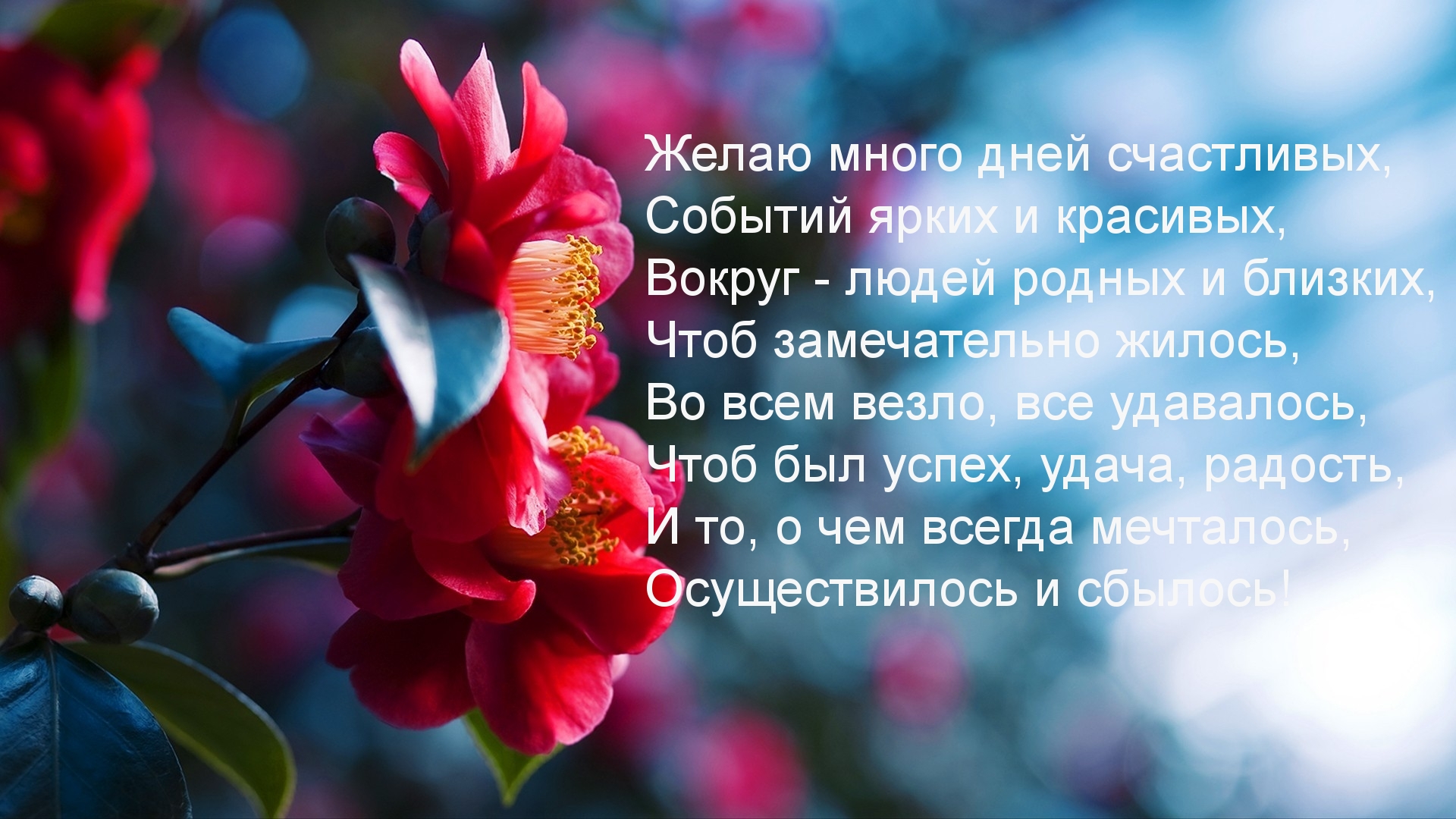 Желаю, чтоб мечты осуществились!