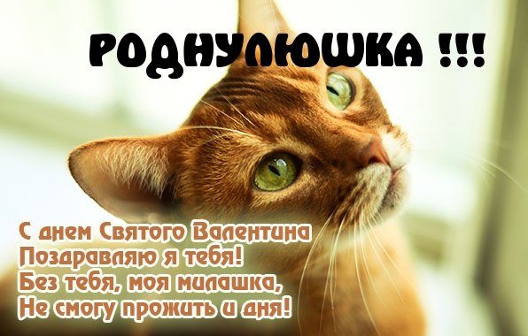 Роднулюшка, с днем Валентина