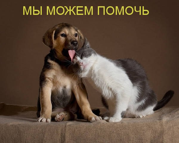 МЫ МОЖЕМ ПОМОЧЬ