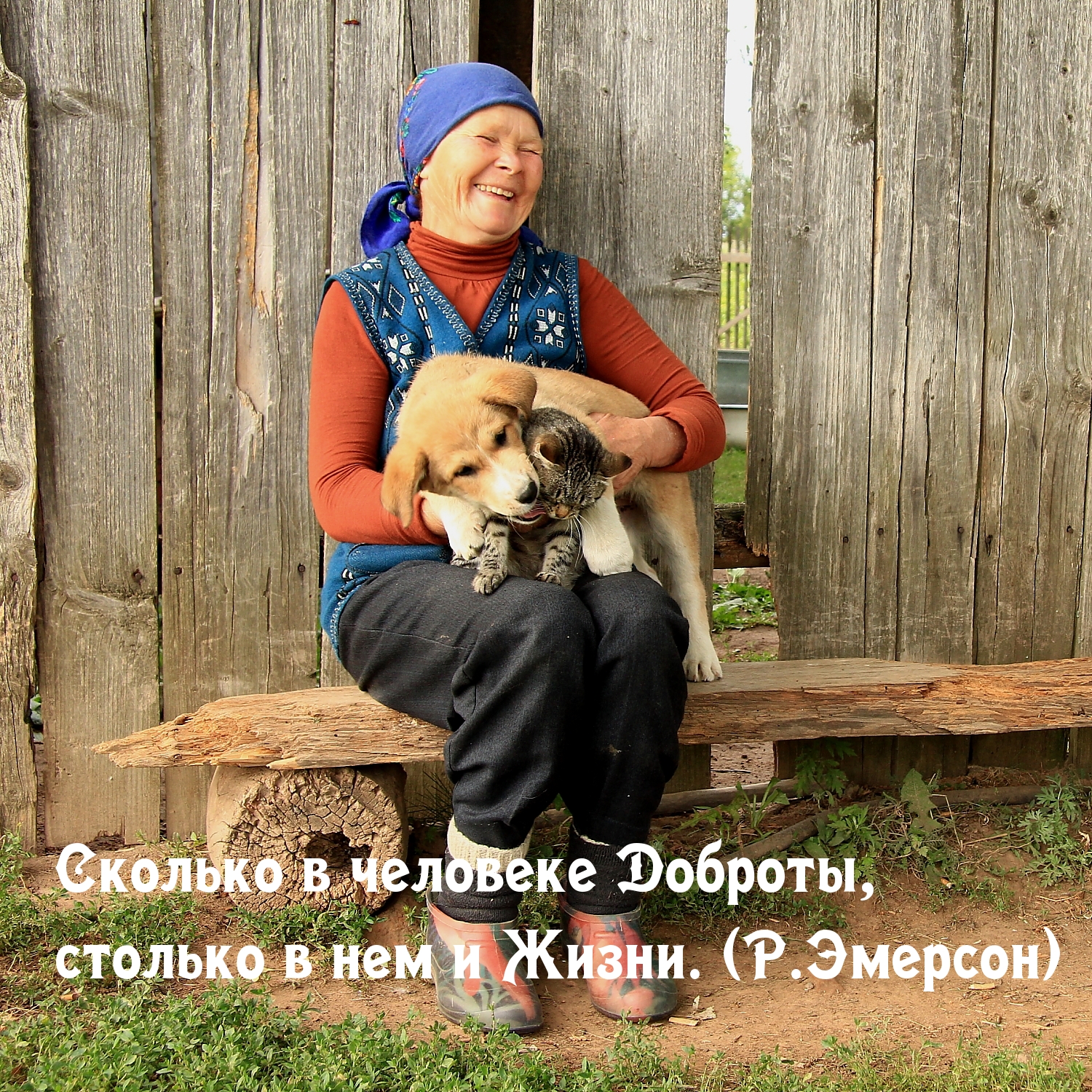Жизнь зависит от Доброты