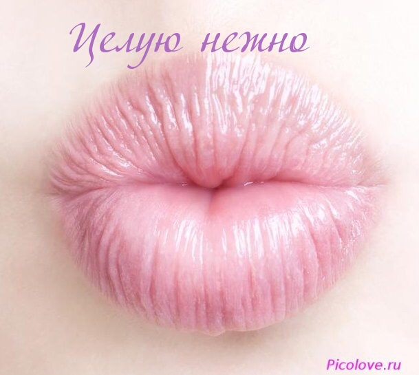Целую нежно