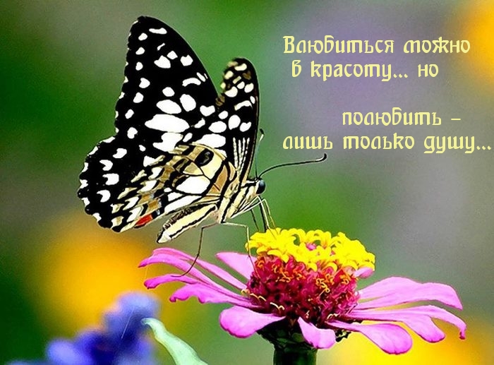 Любят за душу, а не за красоту