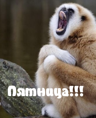 Пятница!!!