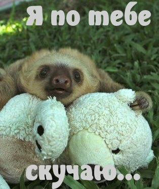 Я по тебе скучаю…