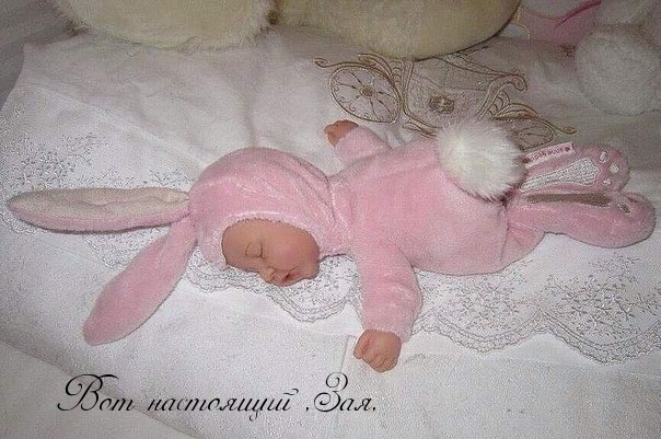 Настоящий Зая!