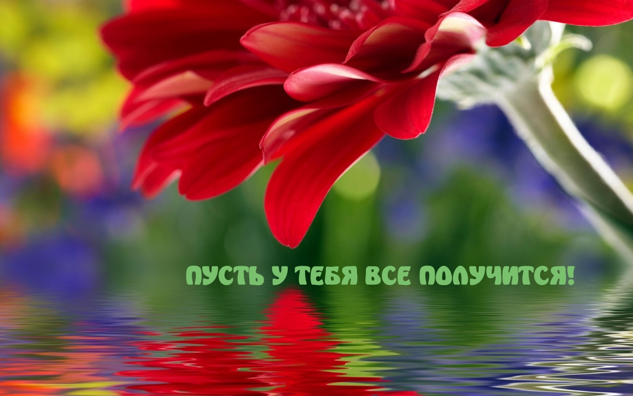 ПУСТЬ У ТЕБЯ ВСЕ ПОЛУЧИТСЯ!
