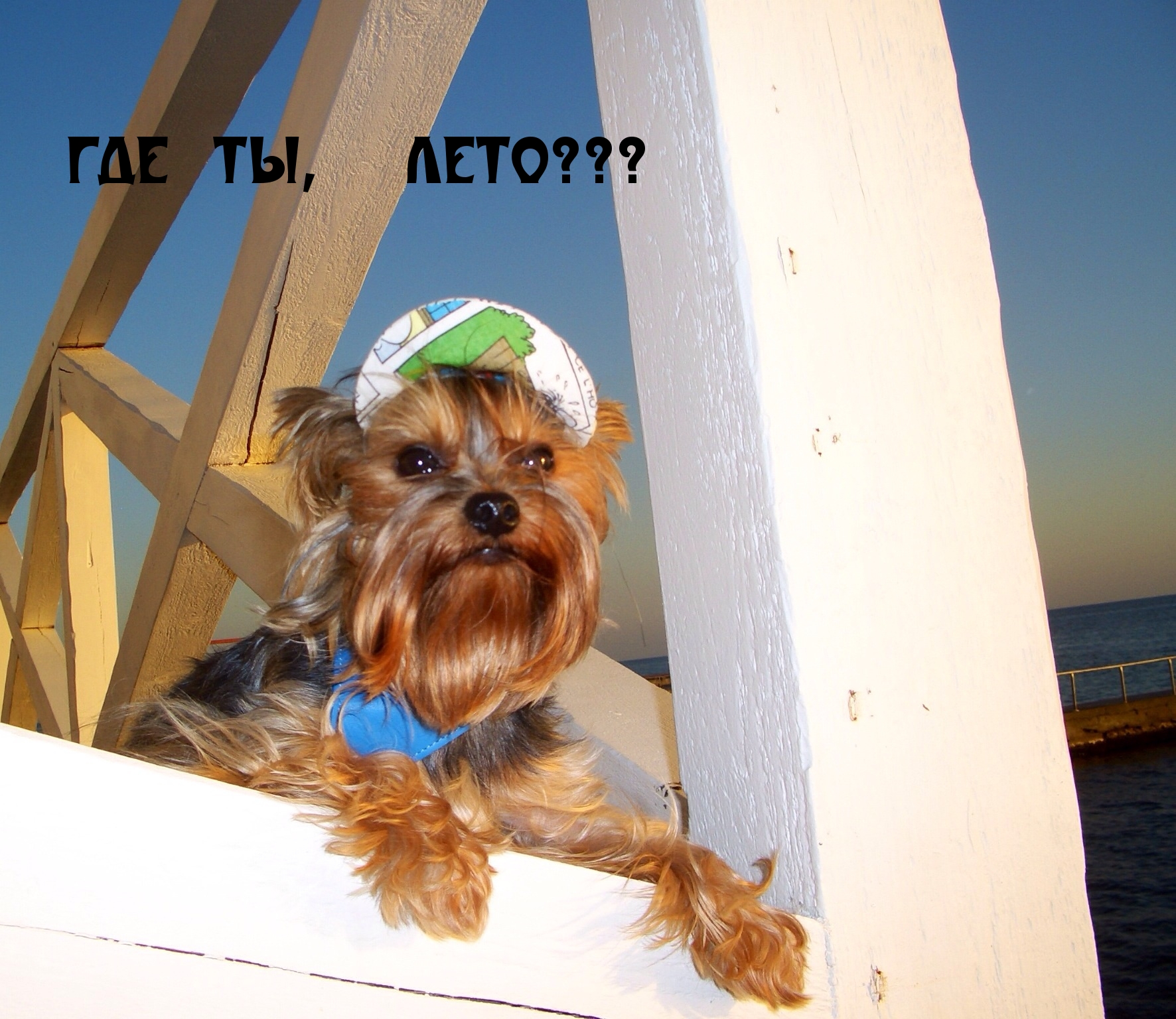 ГДЕ ТЫ,  ЛЕТО???
