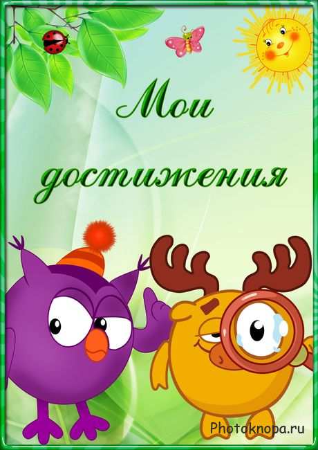Мои достижения