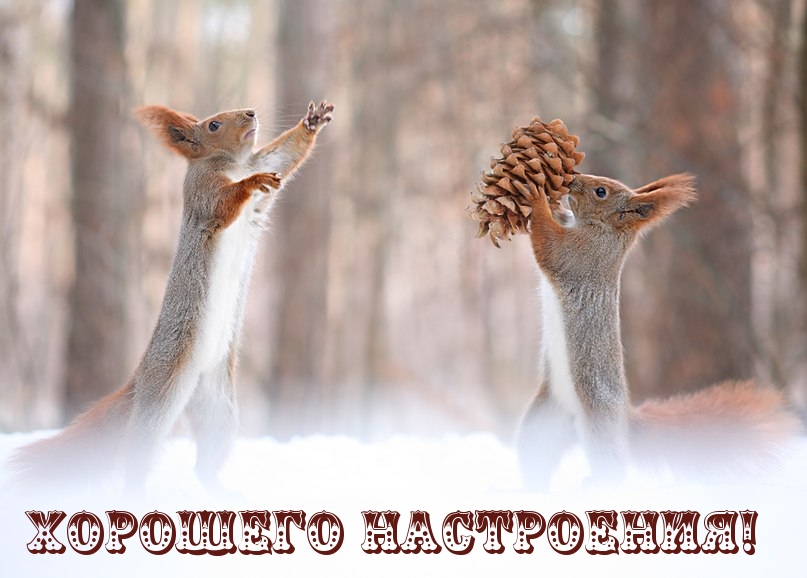 Хорошего настроения!