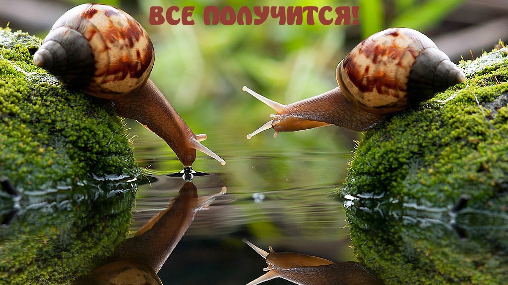 ВСЕ ПОЛУЧИТСЯ!