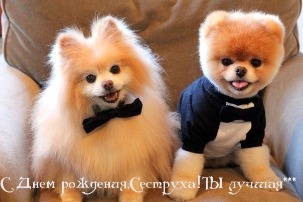 С Днем рождения, сеструха!