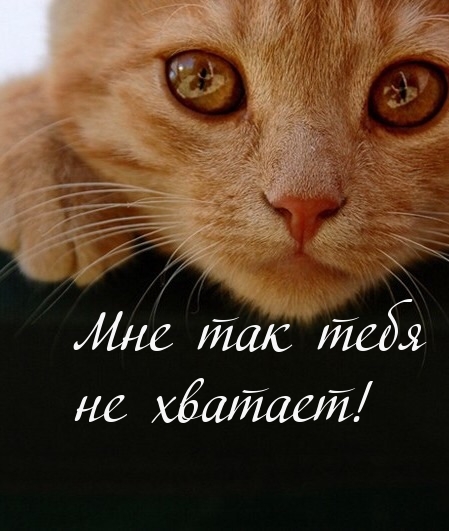 Так тебя не хватает…