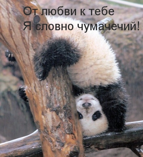 Люблю тебя)