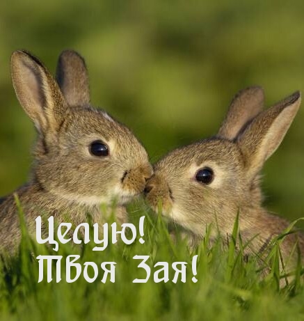 Целую! Твоя Зая!