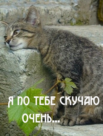 По тебе скучаю