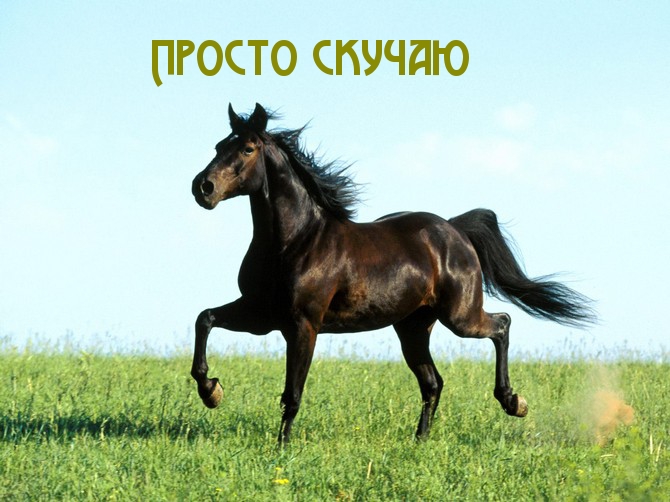 Просто скучаю