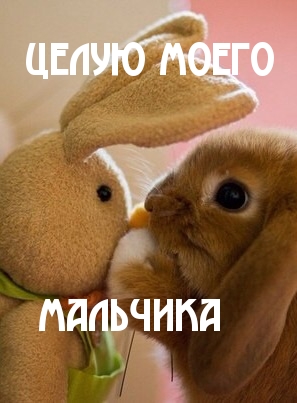 Картинки с надписями.  Целую моего мальчика.