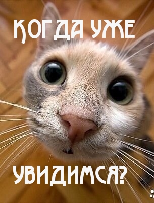 Когда уже увидимся?