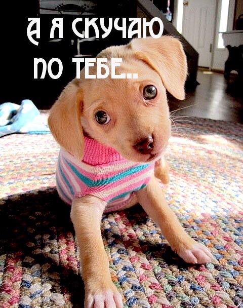 Скучаю  по тебе…
