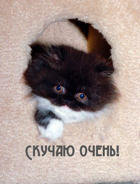 Скучаю очень!