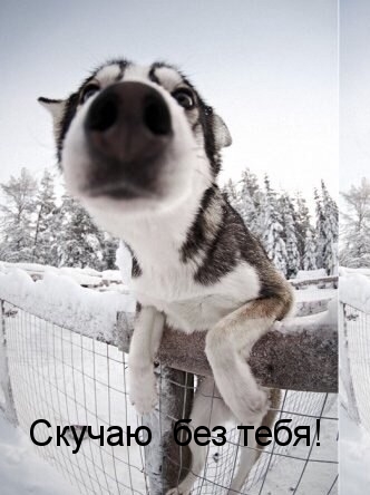 Скучаю  без тебя!