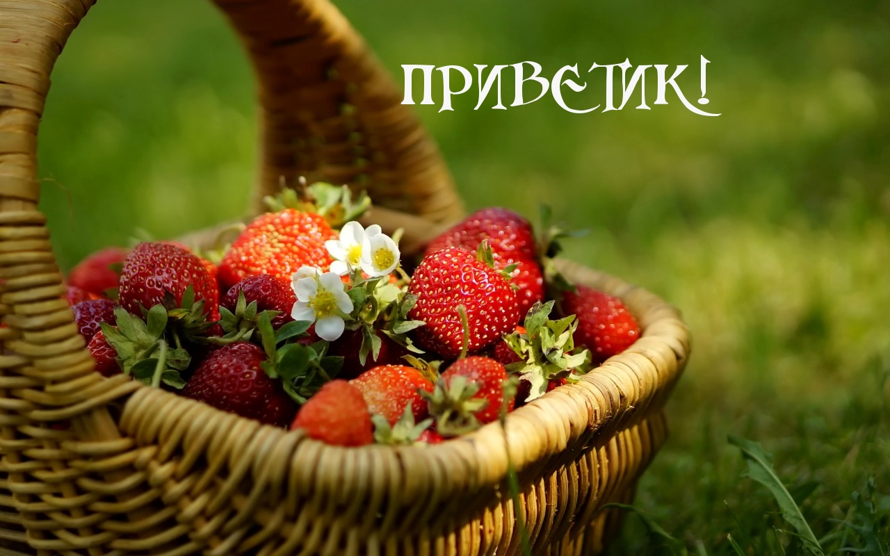 ПРИВЕТИК!