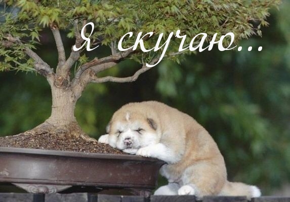 Я скучаю…