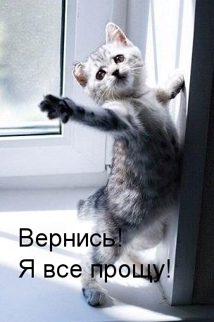Я все прощу!