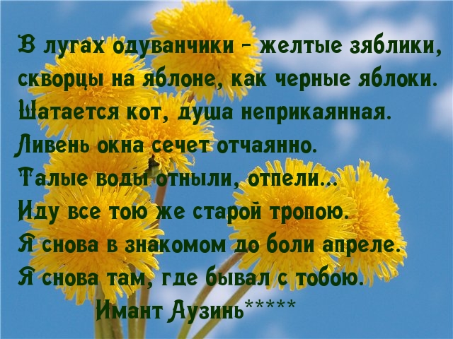 Иду там, где с тобою был
