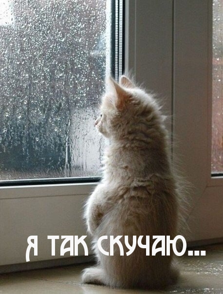 Я так скучаю…
