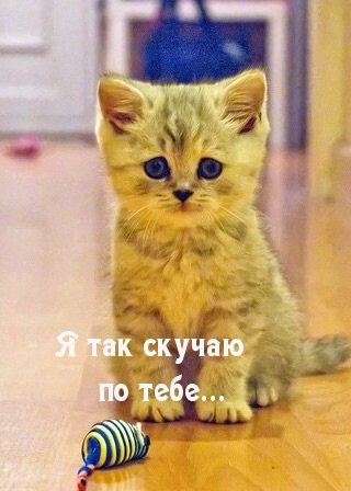 Так скучаю…