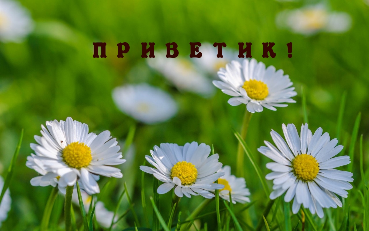 ПРИВЕТИК!