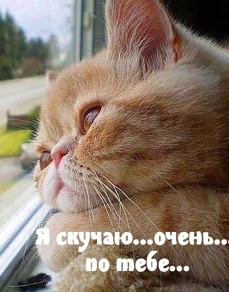 Очень по тебе скучаю…
